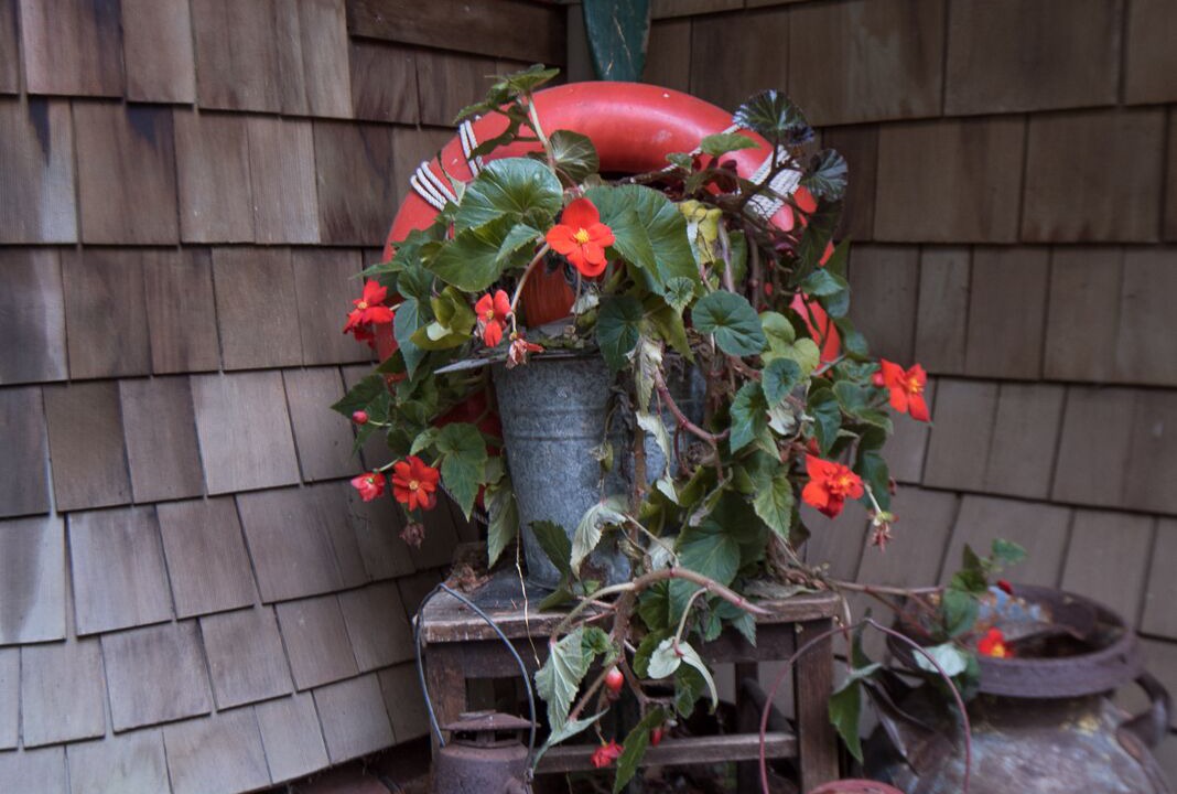 Photo of Outdoor in Maple Bay