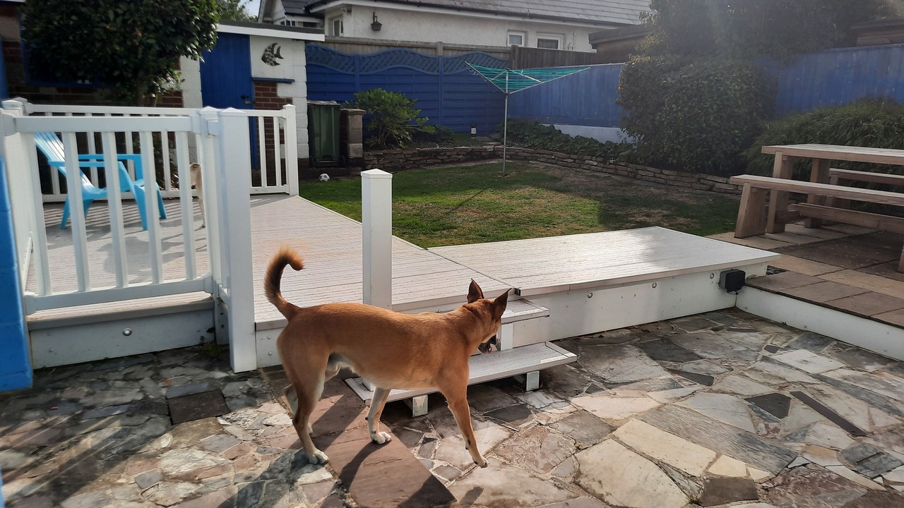 Photo of Patio Balcony in Sandown