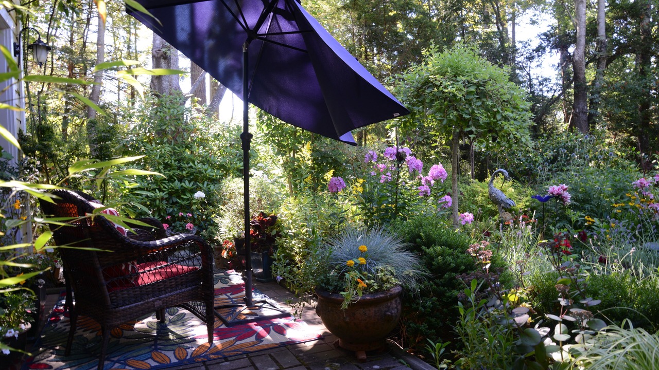 Photo of Patio Balcony in Saanich West
