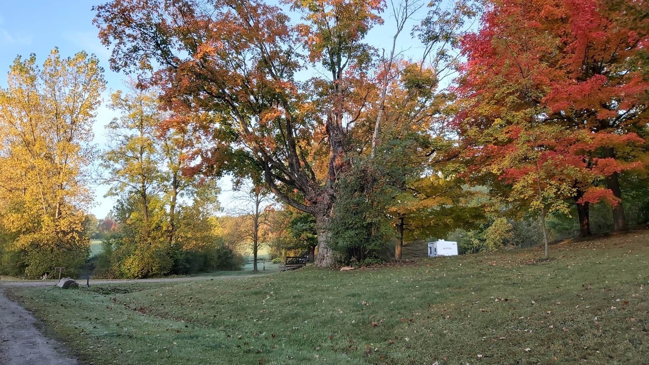 Photo of Others in Central Huron