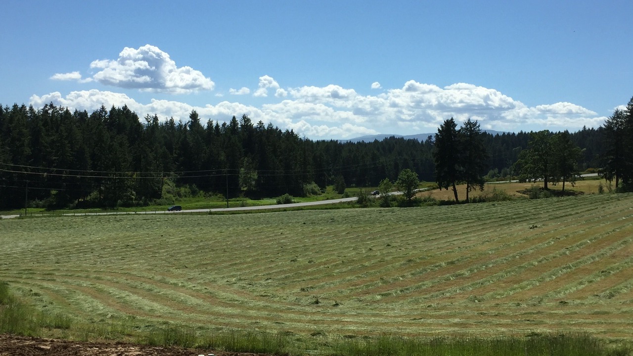 Photo of Others in North Cowichan
