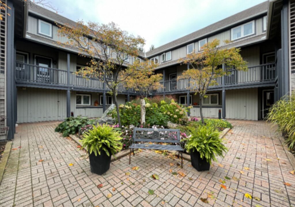 Photo of Outdoor in Collingwood