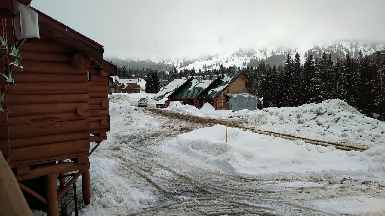 Photo of Others in Hemlock Valley