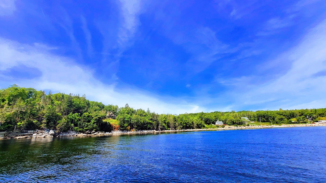 Photo of Others in Mill Cove
