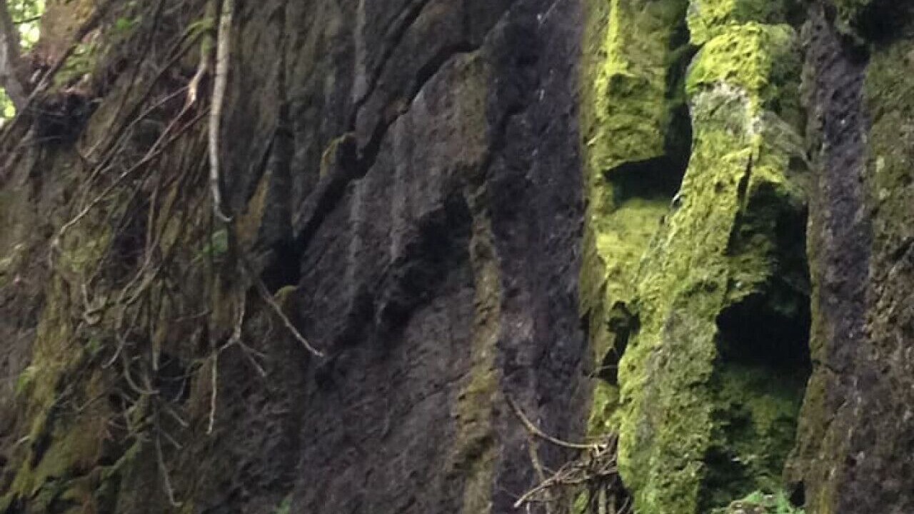 Photo of Others in Grey Highlands