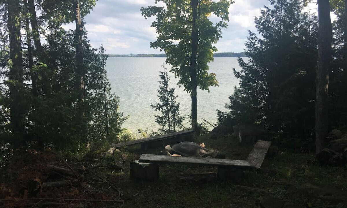 Photo of Others in Grey Highlands