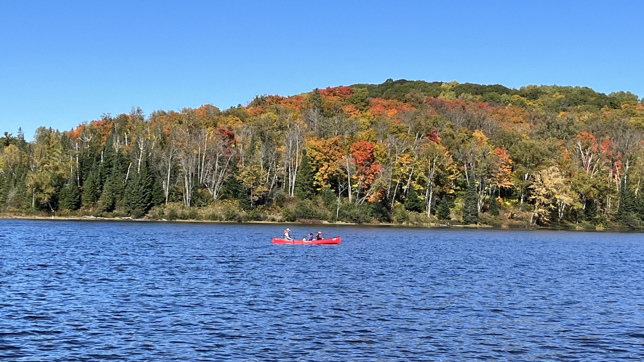 Photo of Others in Bracebridge