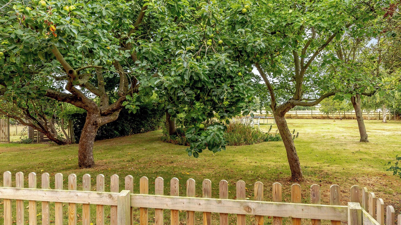Photo of Outdoor in Rampton