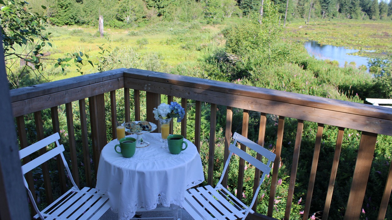 Photo of Outdoor in Black Creek