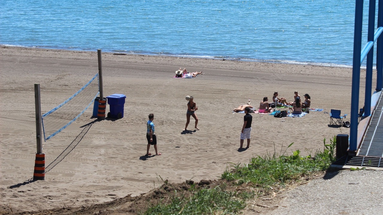 Photo of Others in Colchester