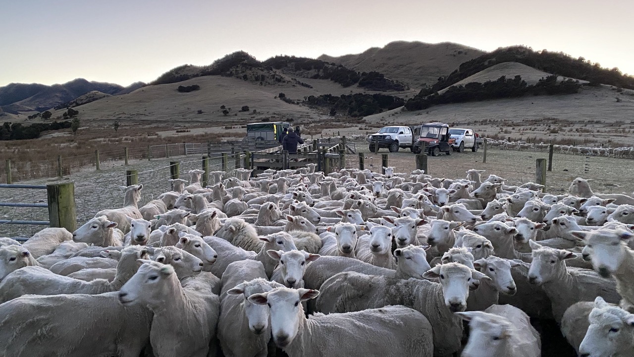 Photo of Others in Culverden