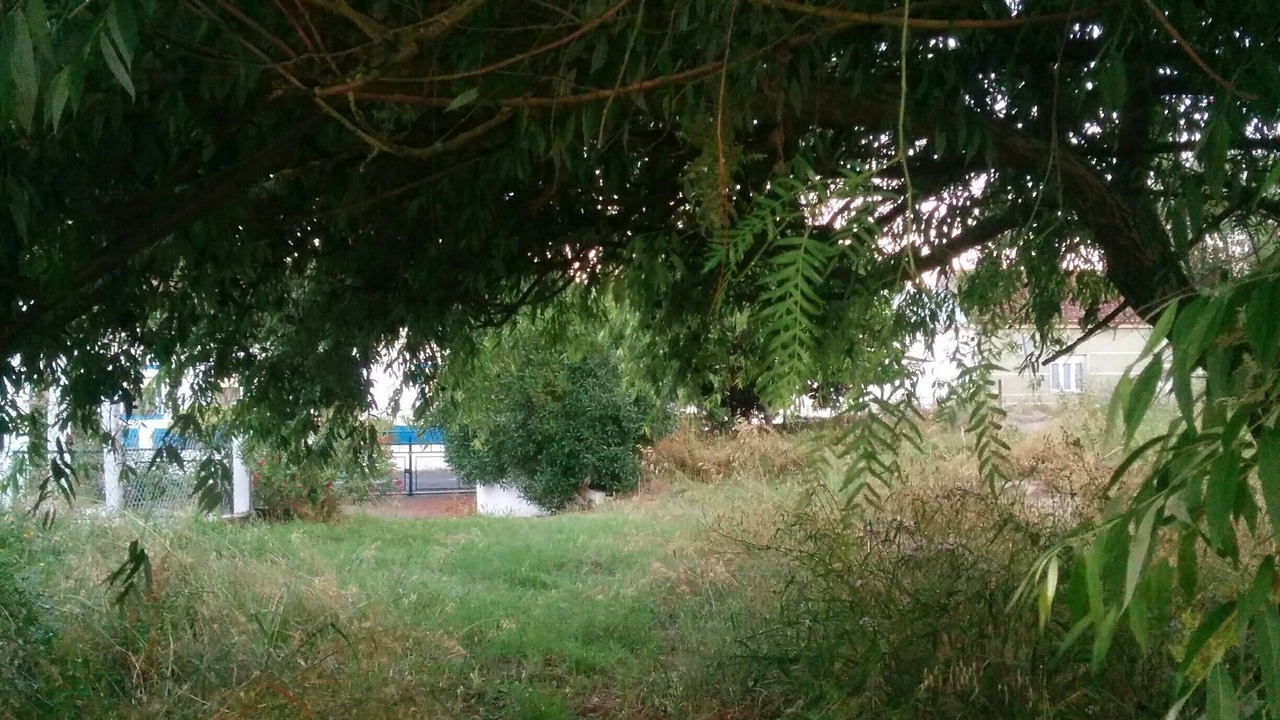Photo of Outdoor in Sao Vicente do Paul