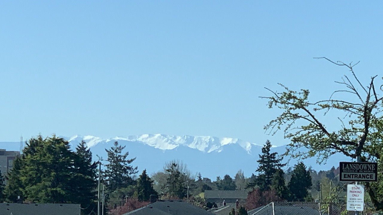 Photo of Others in Saanich East