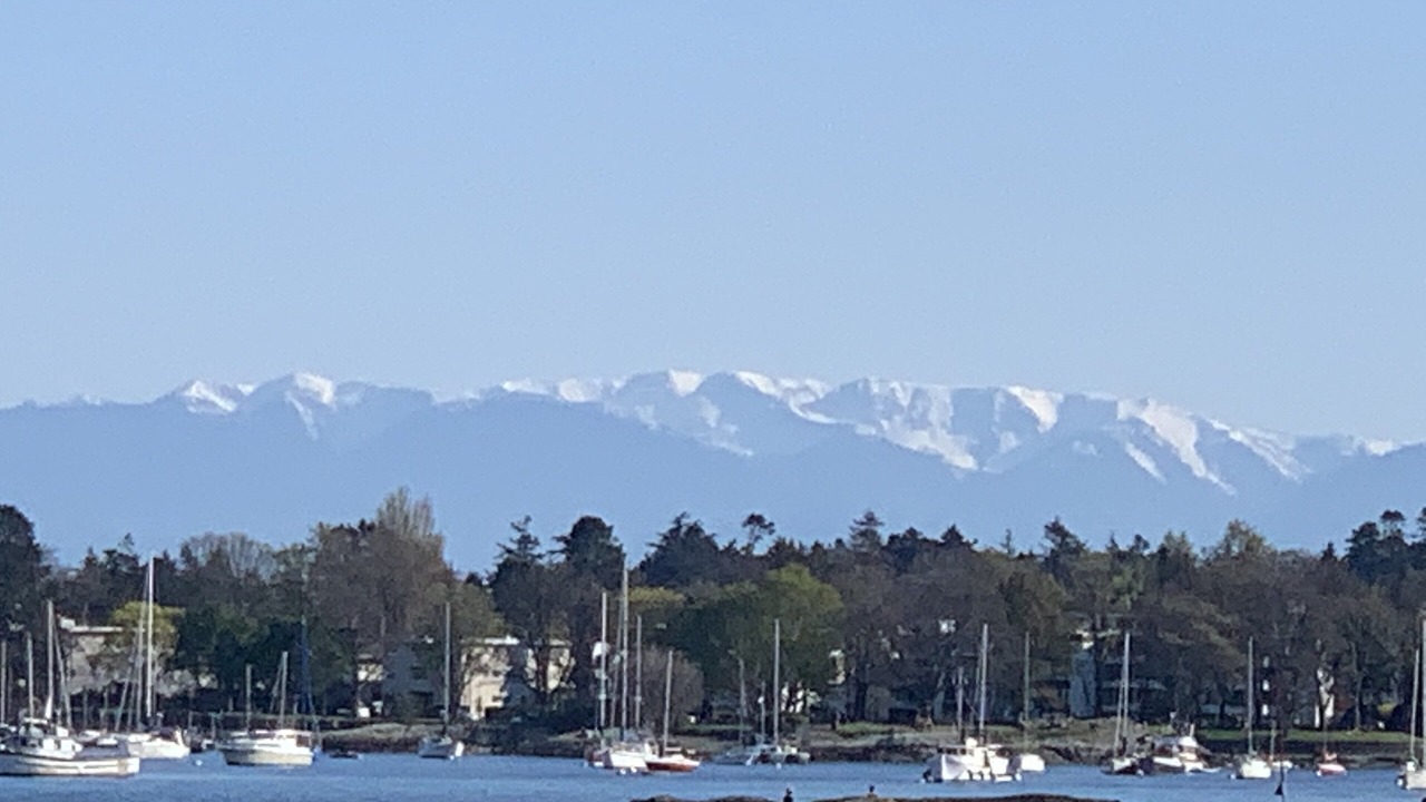 Photo of Others in Saanich East