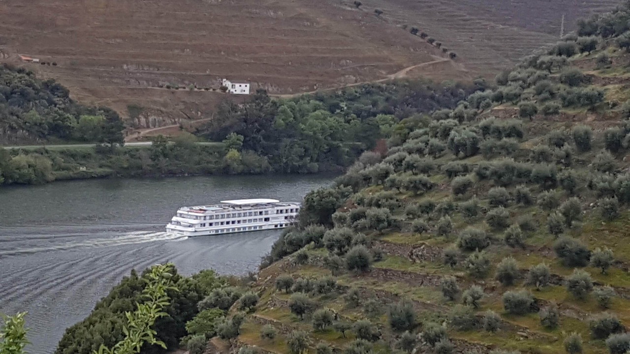 Photo of Outdoor in Vila Real