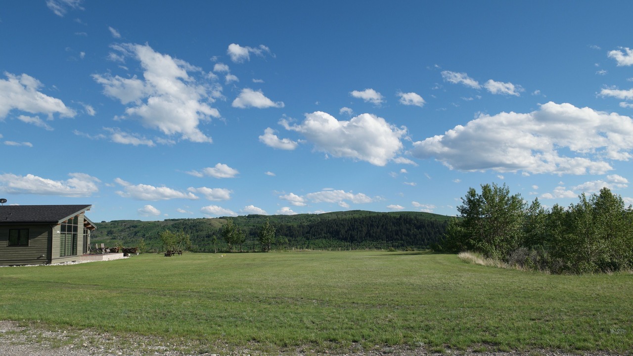 Photo of Others in Calgary
