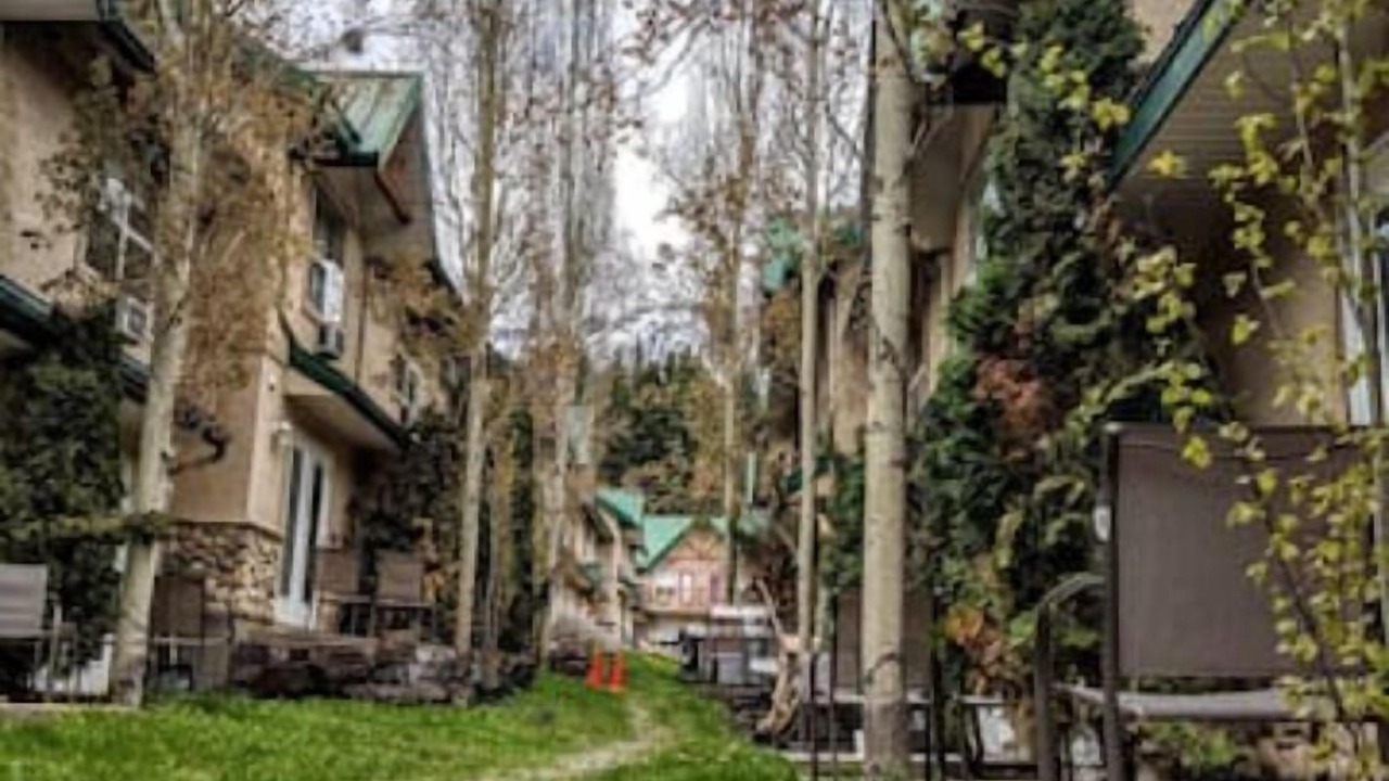 Photo of Outdoor in Harvie Heights
