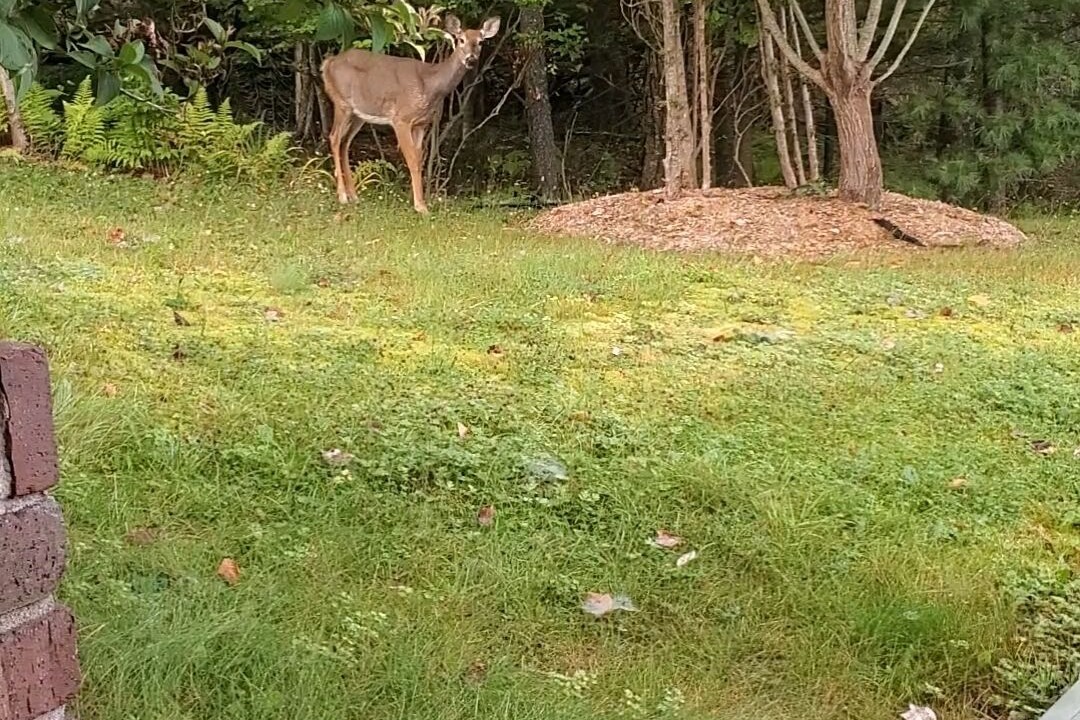 Photo of Others in Bedford