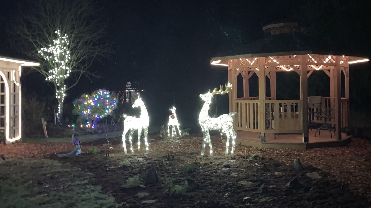 Photo of Outdoor in North Cowichan