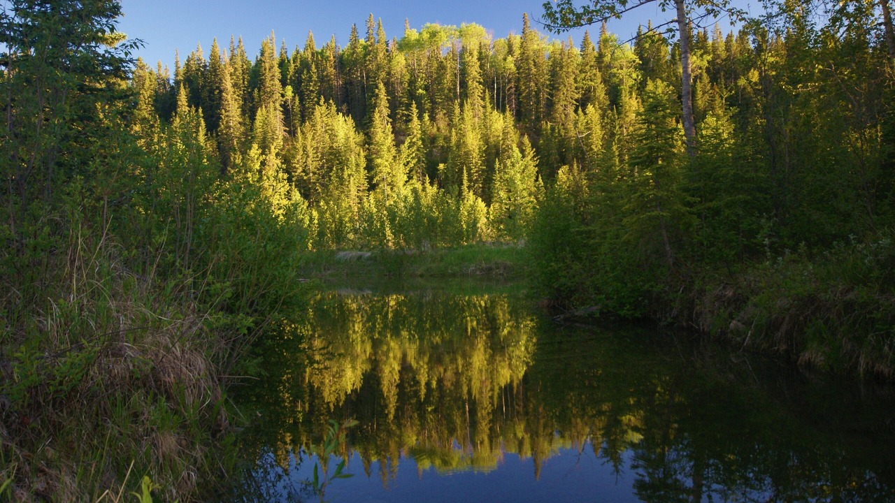 Photo of Outdoor in Sundre