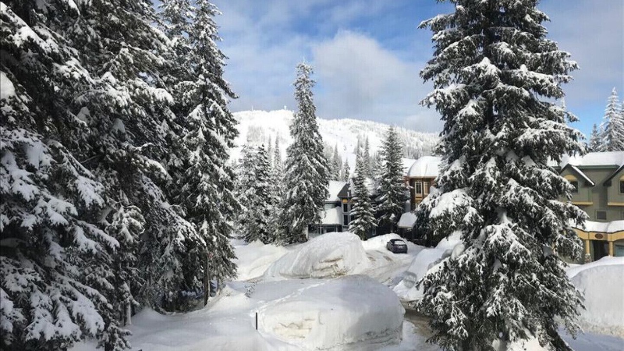 Photo of Others in Silver Star Mountain