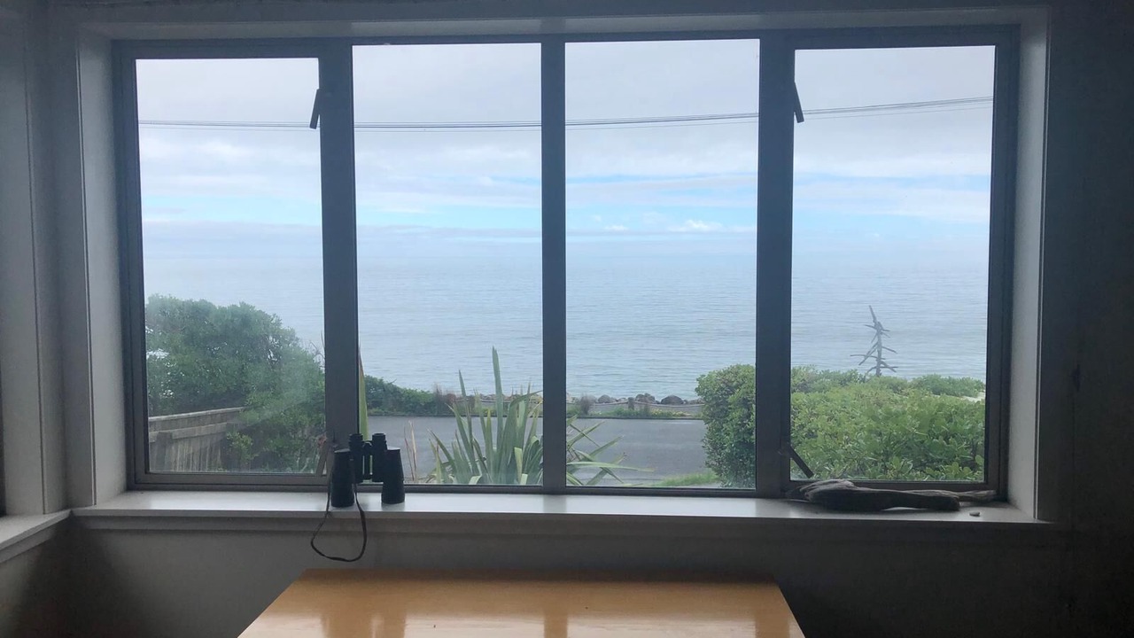 Photo of Others in Paekakariki
