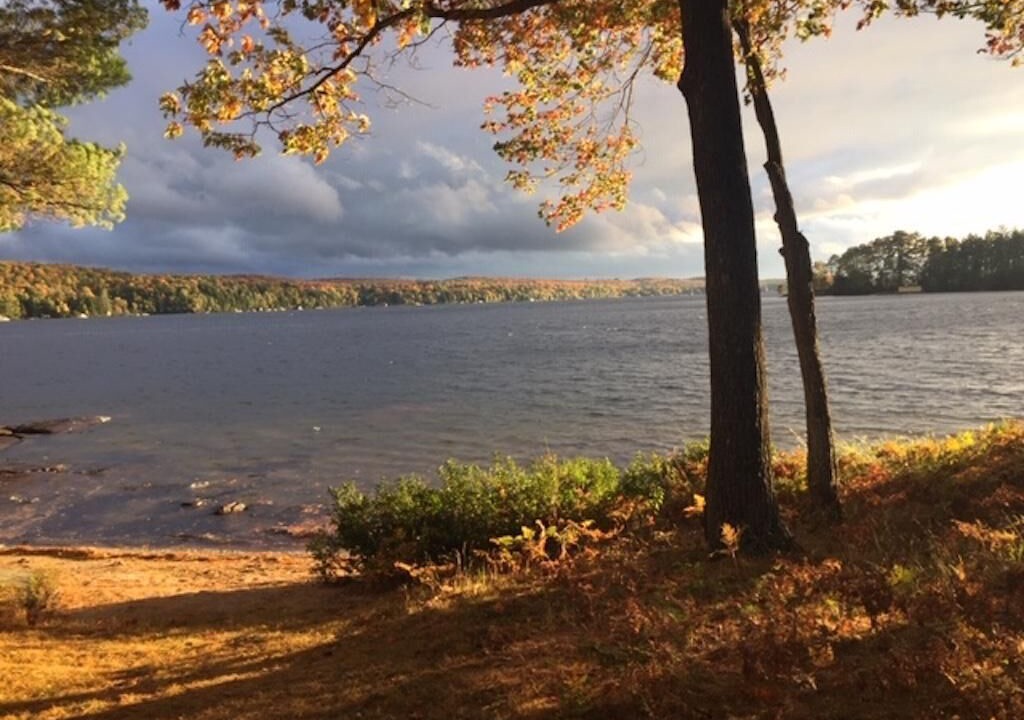 Photo of Others in Lake of Bays