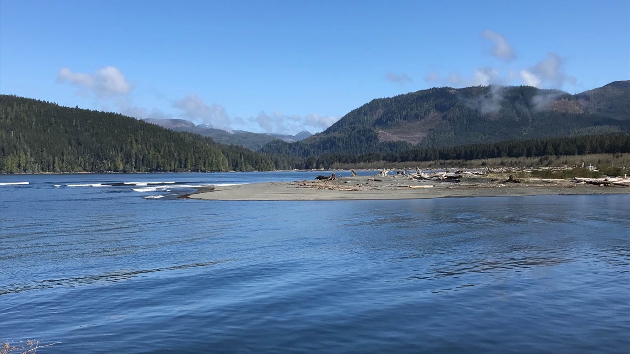 Photo of Others in Port Renfrew