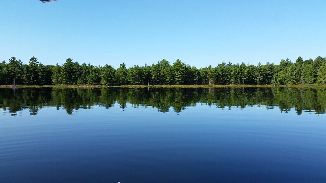 Photo of Outdoor in Bala