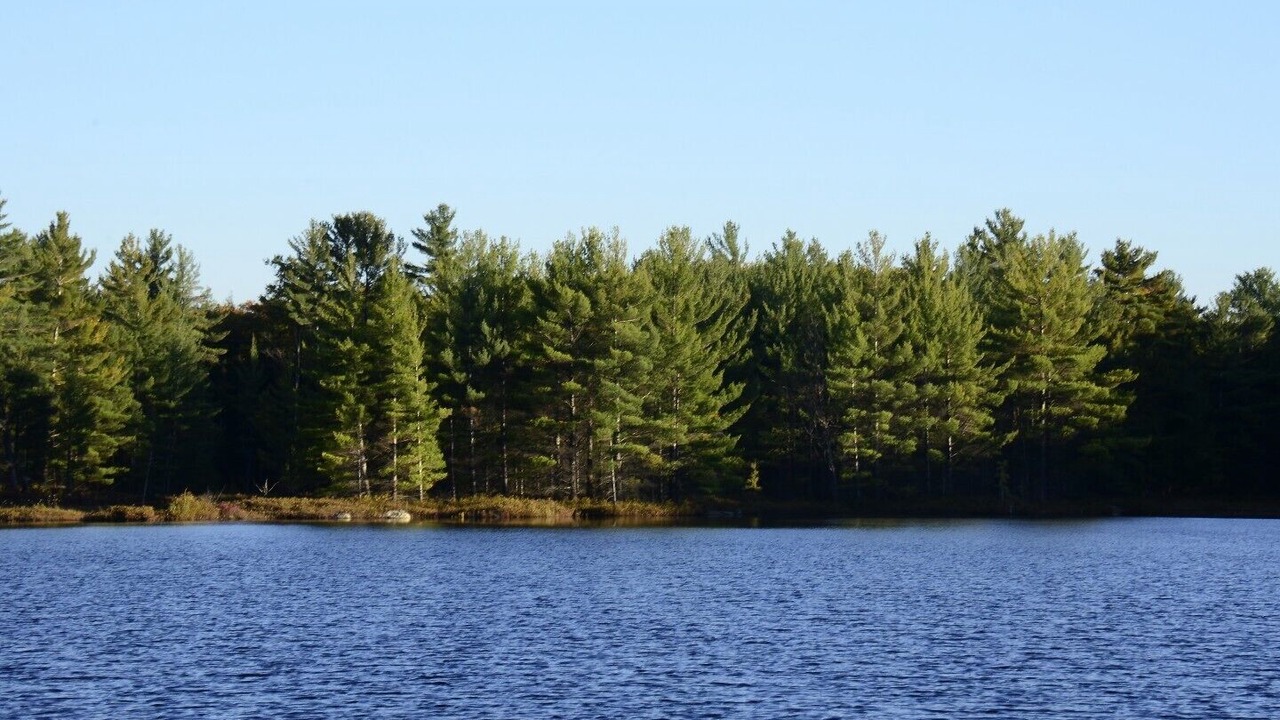 Photo of Outdoor in Bala