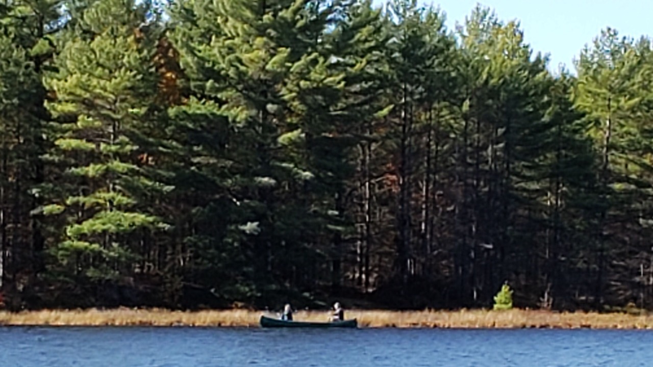 Photo of Outdoor in Bala