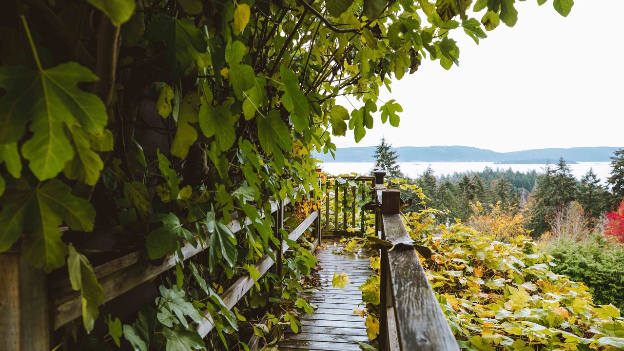 Photo of Outdoor in Salt Spring Island