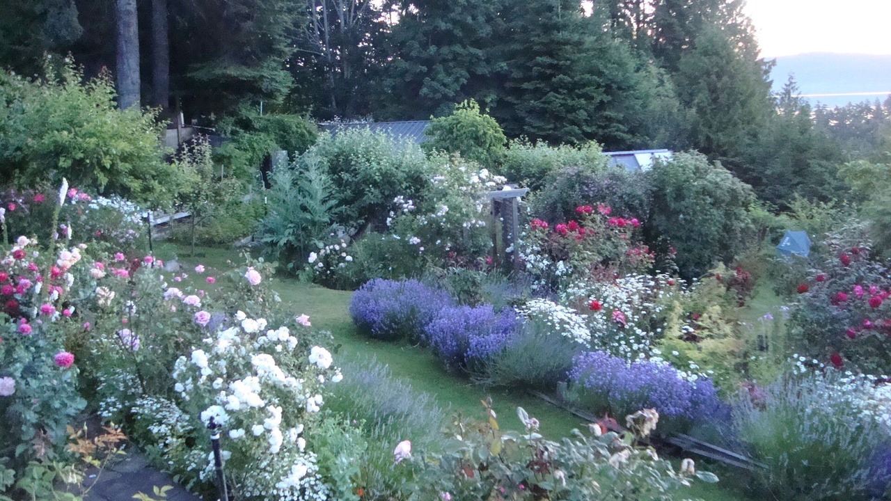 Photo of Outdoor in Salt Spring Island