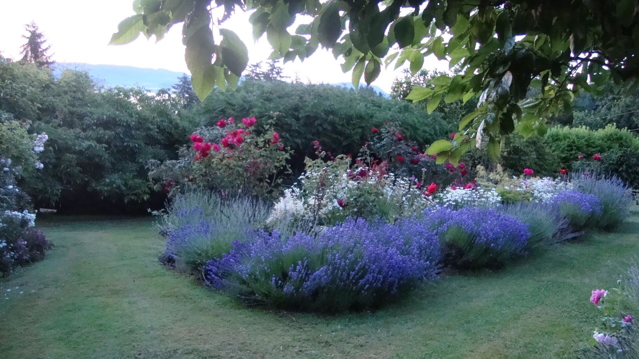 Photo of Outdoor in Salt Spring Island
