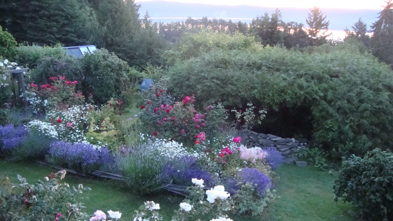 Photo of Outdoor in Salt Spring Island