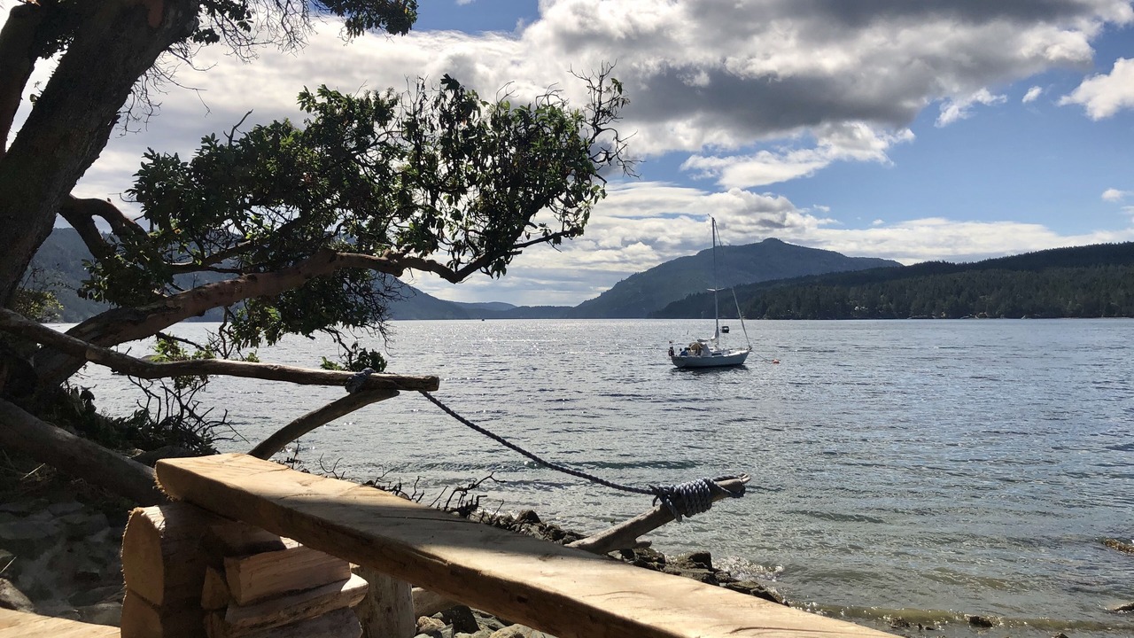 Photo of Others in Maple Bay