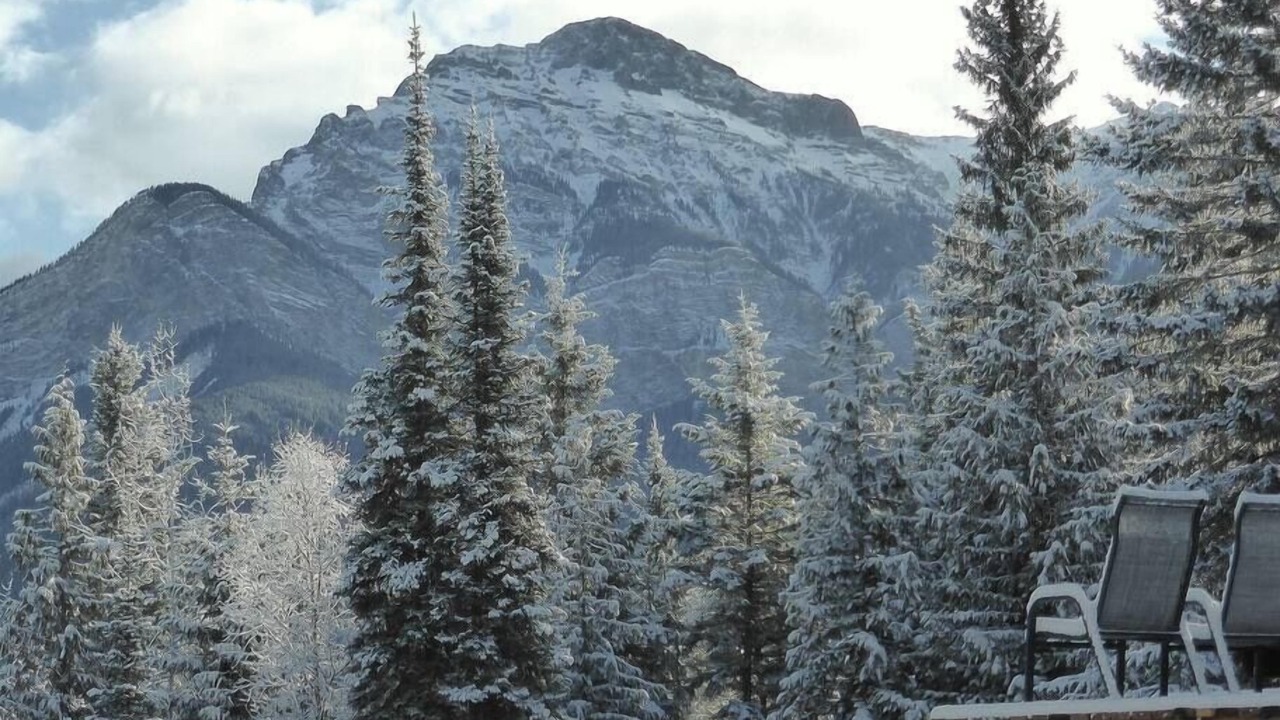 Photo of Others in Blaeberry
