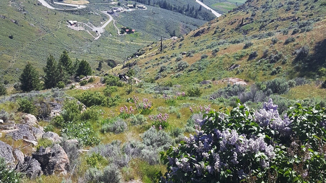 Photo of Others in Okanagan-Similkameen
