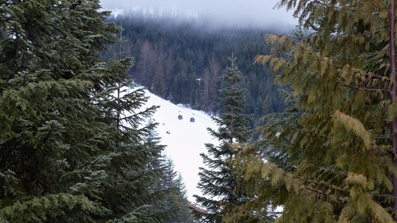 Photo of Others in Nordic Estates