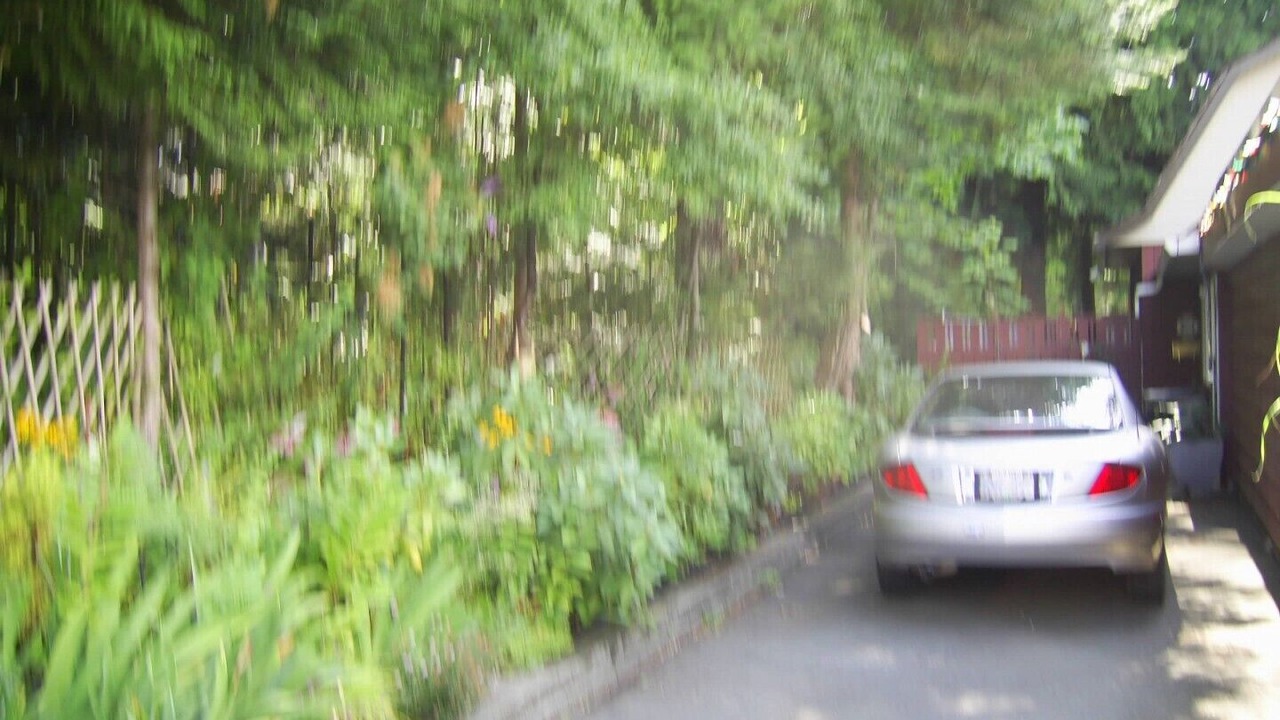 Photo of Others in Courtenay