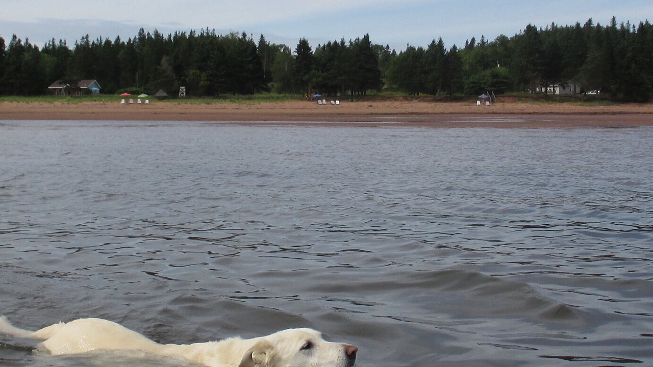 Photo of Others in Wood Islands