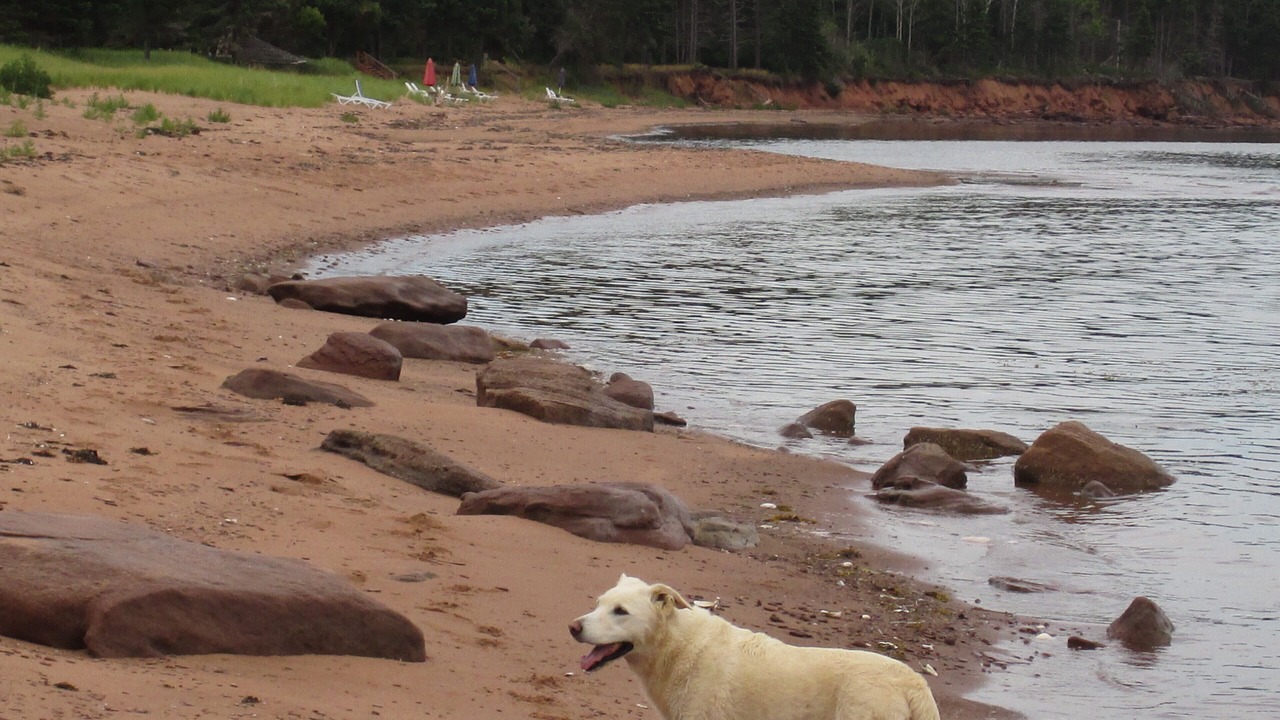 Photo of Others in Wood Islands