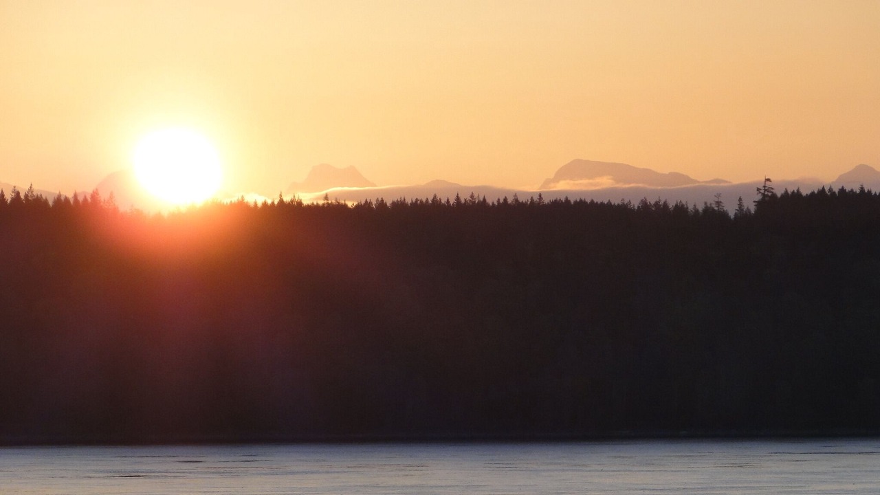 Photo of Others in Campbell River