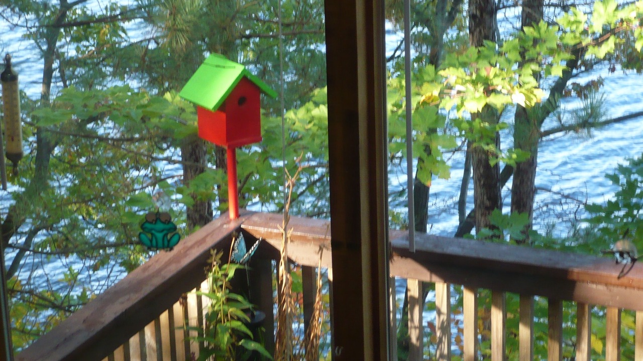 Photo of Others in Muskoka Lakes