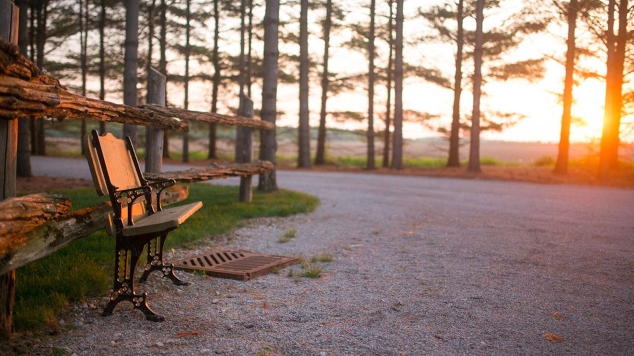 Photo of Outdoor in Granton