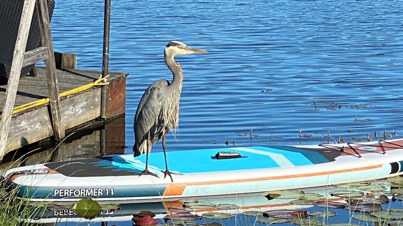 Photo of Others in Langford