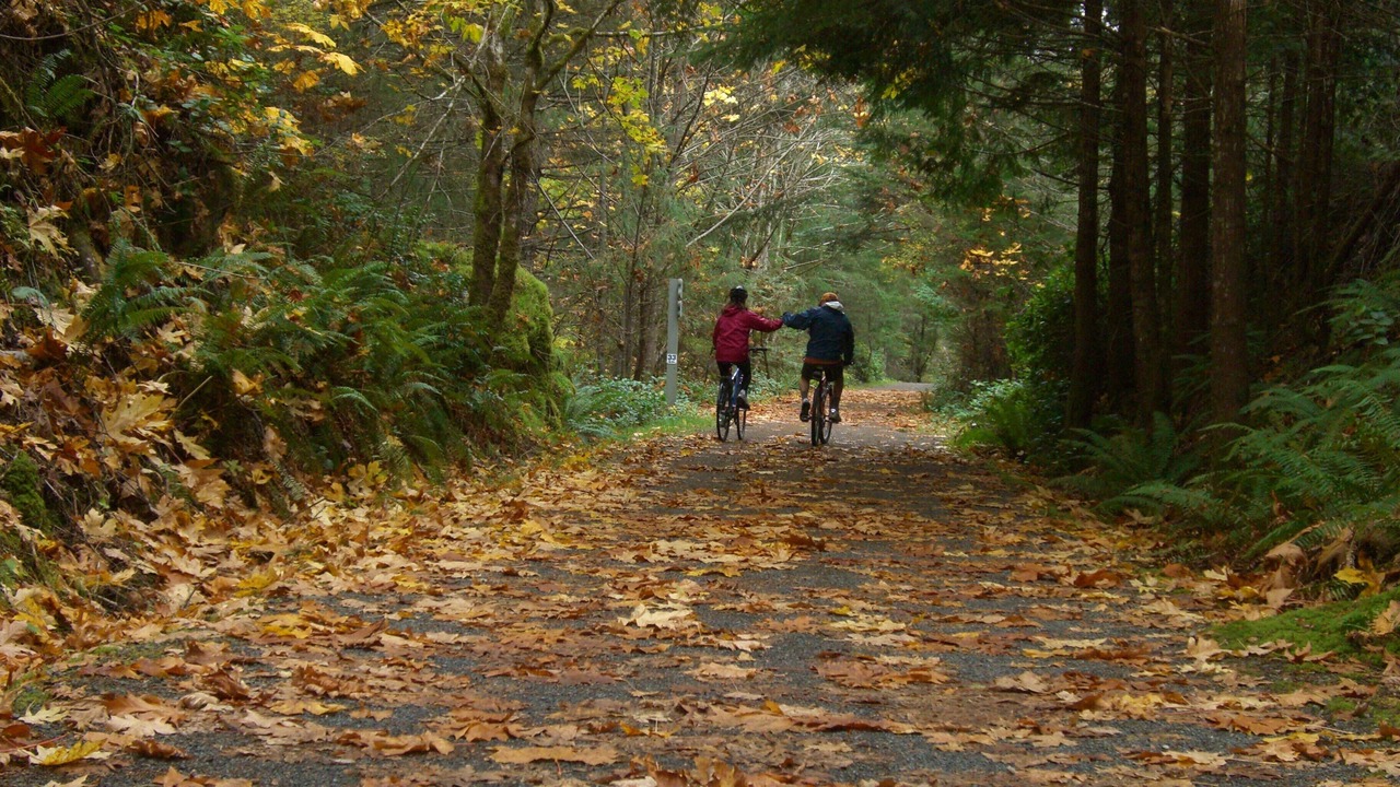Photo of Others in Langford