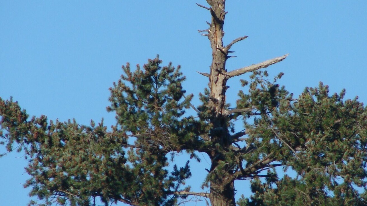 Photo of Others in North Oyster