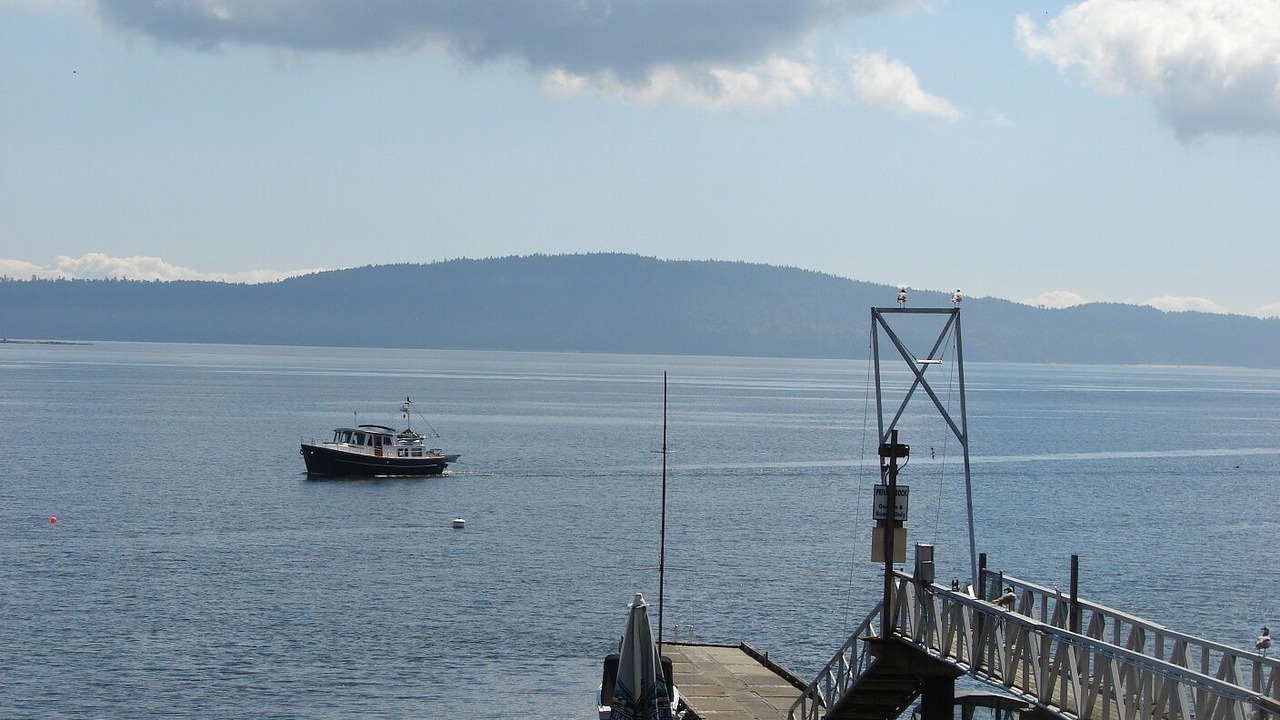 Photo of Others in North Oyster