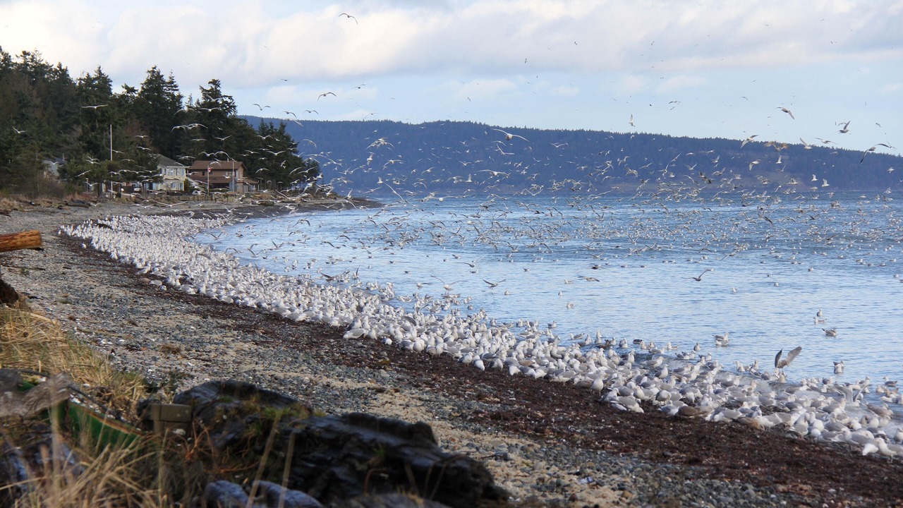 Photo of Others in Regional District of Nanaimo